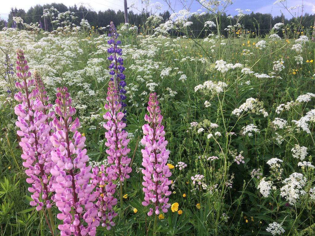 Karaby Gard, Country Living Hostel Kristinehamn Luaran gambar